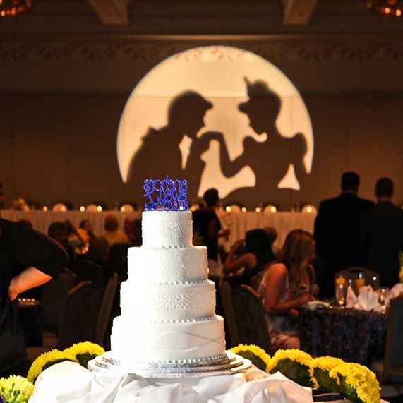 Indoor 30W Static Gobo Projector